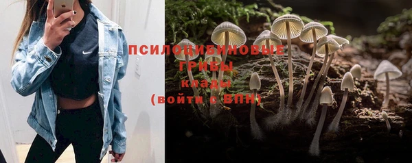 ешки Баксан