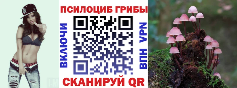 Псилоцибиновые грибы MAGIC MUSHROOMS  сайты даркнета официальный сайт  Бор 