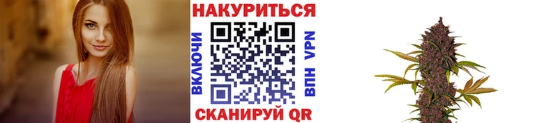 Марихуана гибрид  где продают наркотики  omg сайт  площадка состав  Бор 